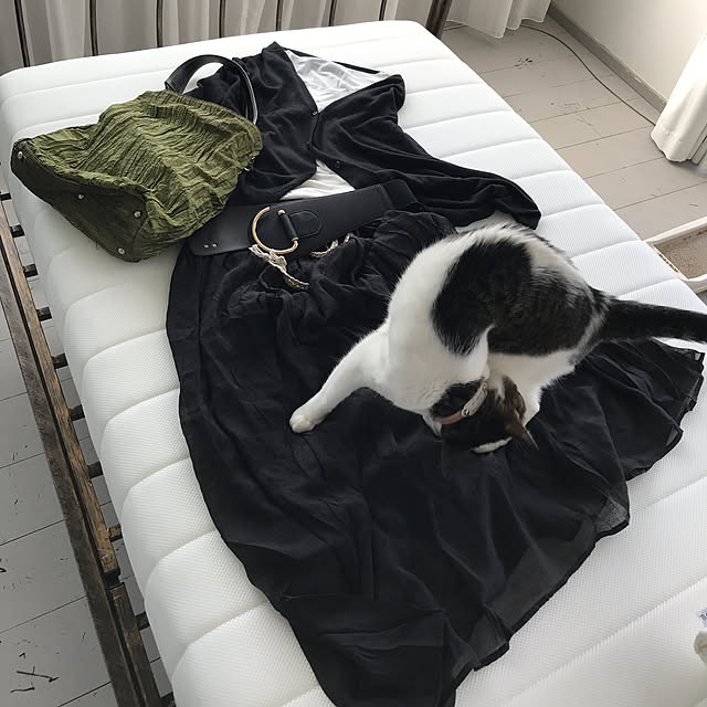 Shihoさんの実例写真