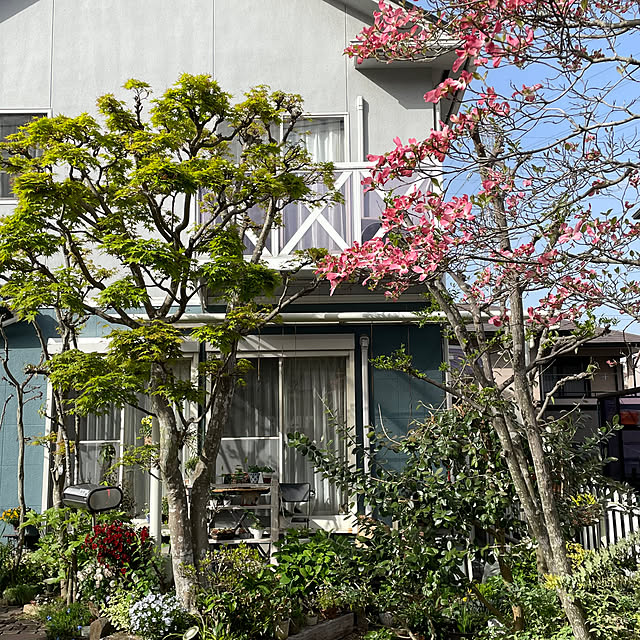 nobikoさんの部屋