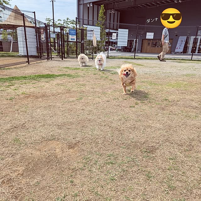 noahさんの実例写真