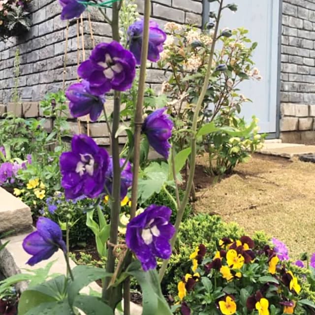 yudumireさんの実例写真
