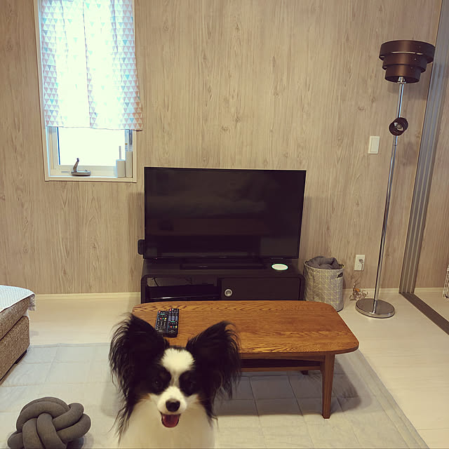 neriさんの実例写真