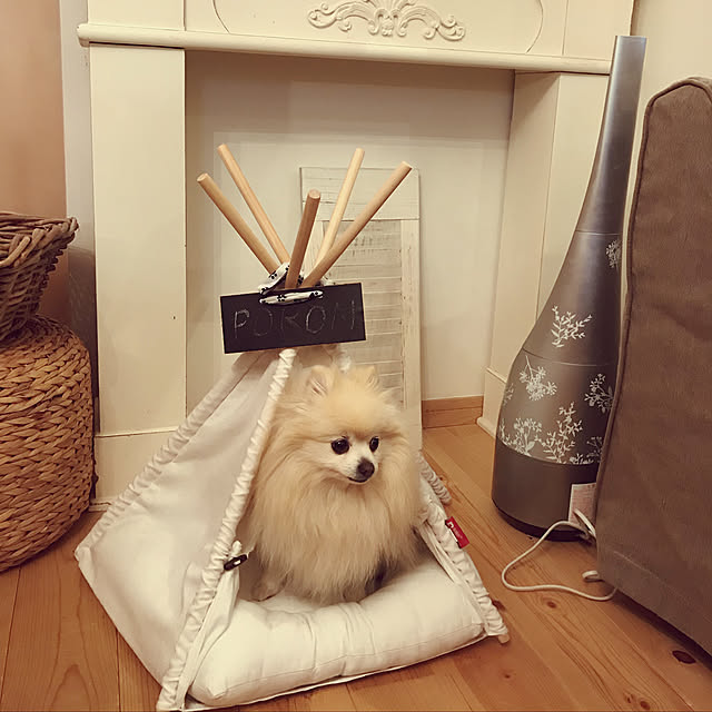 PORONさんの実例写真