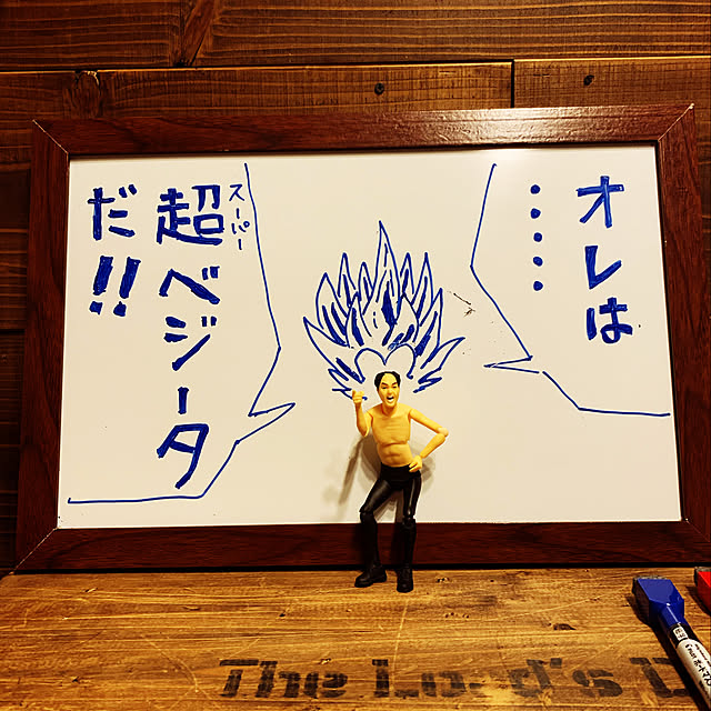 disk1mauloaさんの実例写真