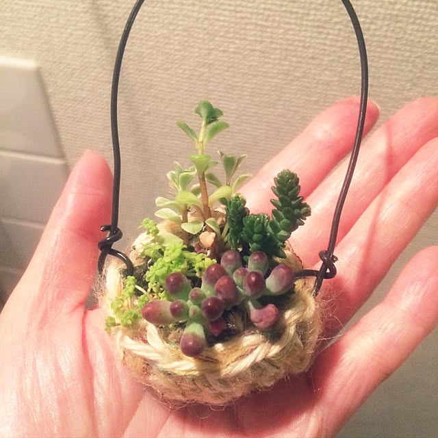 no-blさんの実例写真