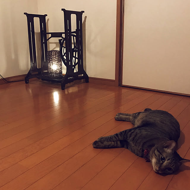 mikan161さんの実例写真