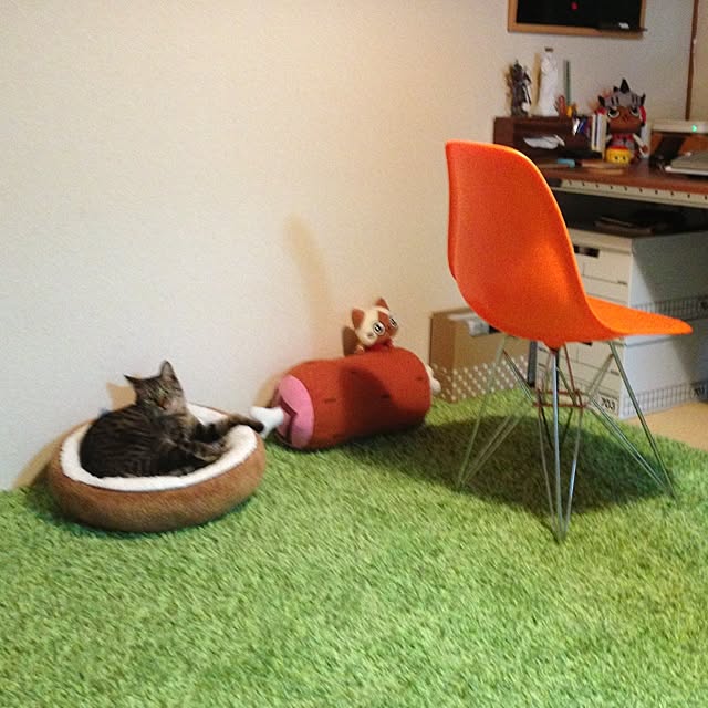 HouQさんの実例写真