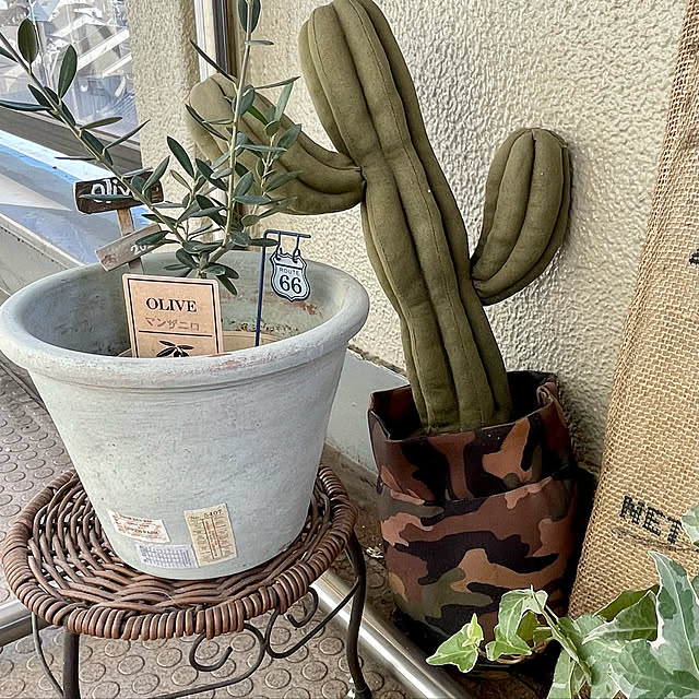 tomoさんの実例写真