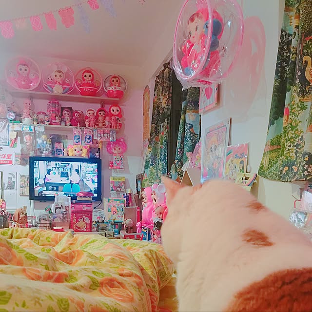 Karenさんの実例写真