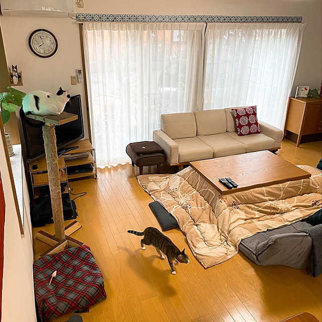 nobikoさんの実例写真