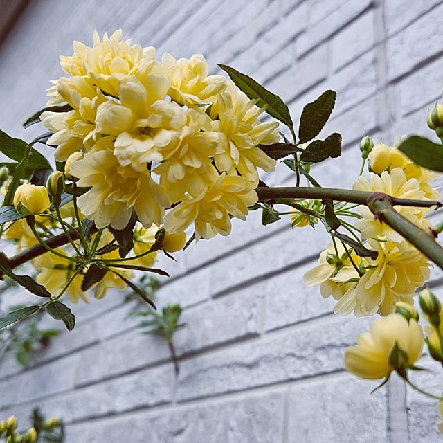 mocomocoさんの部屋