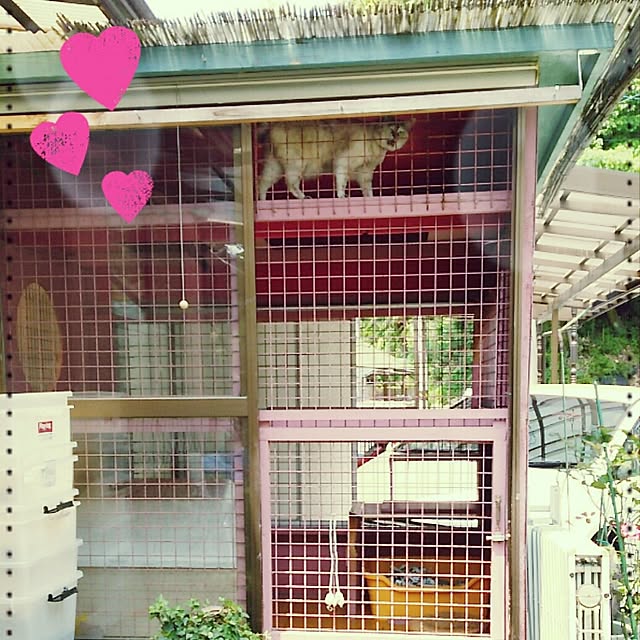 mcomcoさんの実例写真