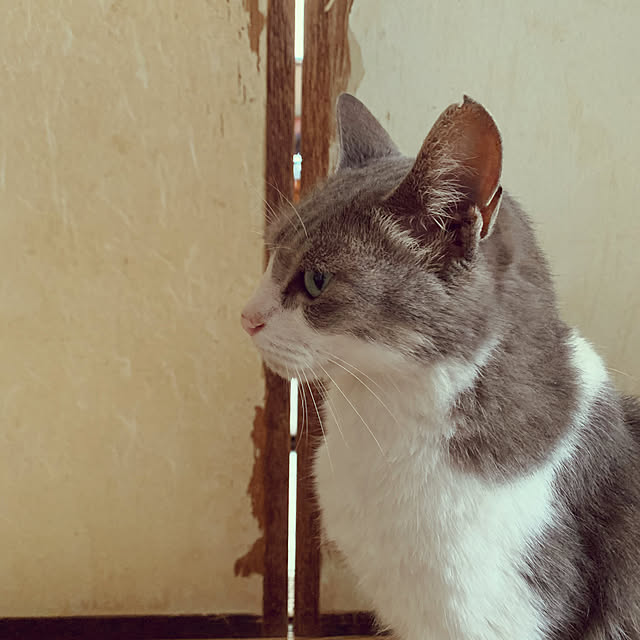 taoさんの実例写真