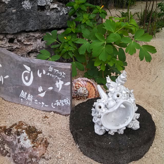 harupippiさんの実例写真