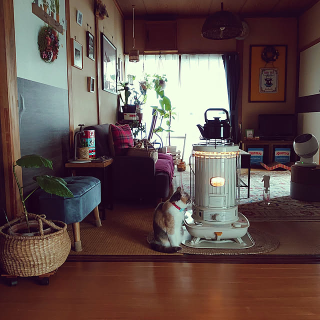 fukuさんの実例写真
