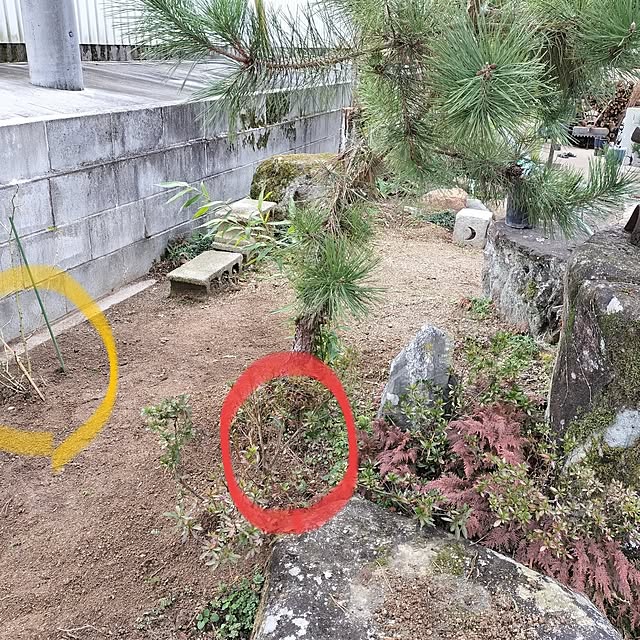 sumimarumiさんの実例写真