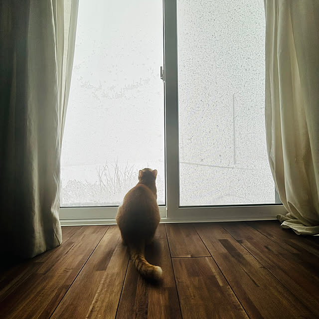 R.さんの実例写真