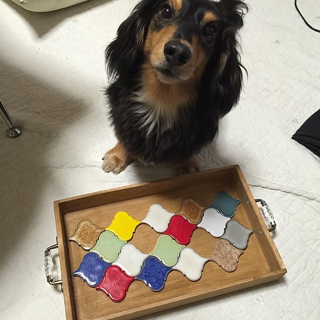 urucotoさんの実例写真
