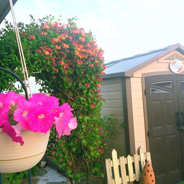 HappyRoseさんの実例写真