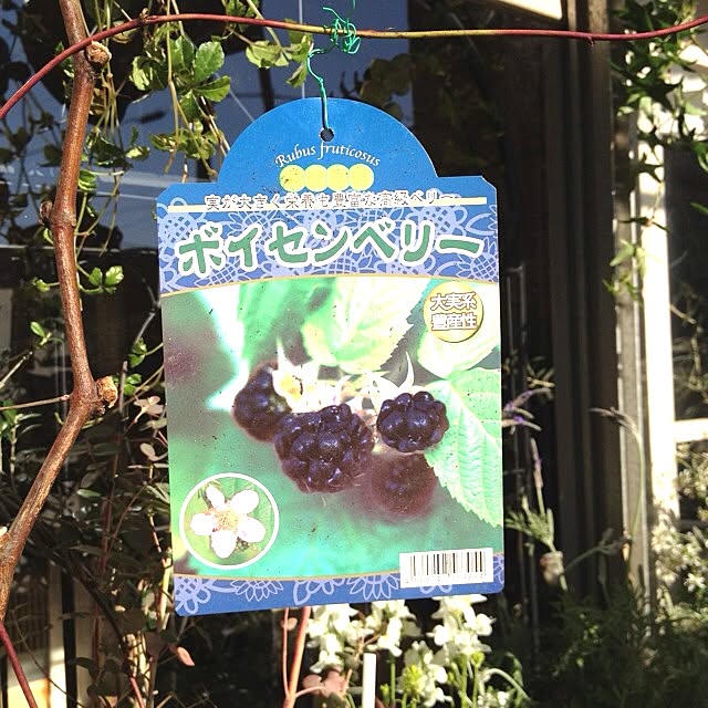 kimuさんの実例写真