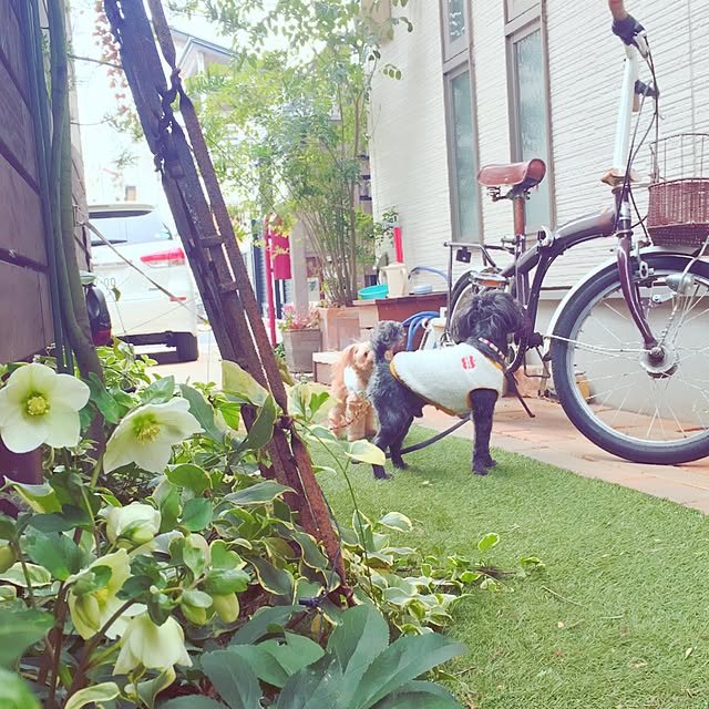 risaさんの実例写真