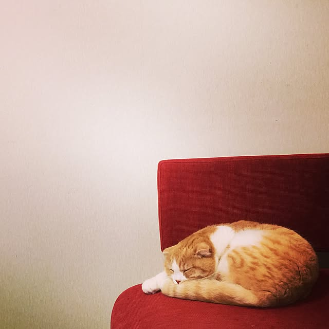 mochiさんの実例写真