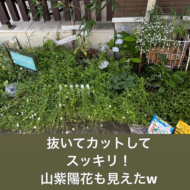 mayumiさんの部屋