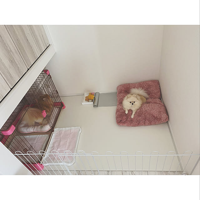 nyaapo_homeさんの実例写真