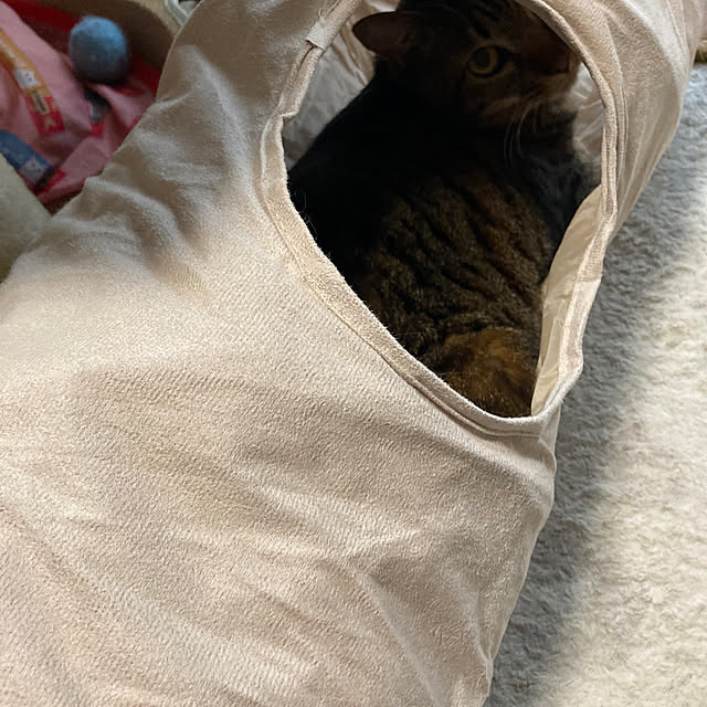 NiaNiaさんの部屋