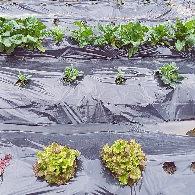 hiro.904さんの実例写真