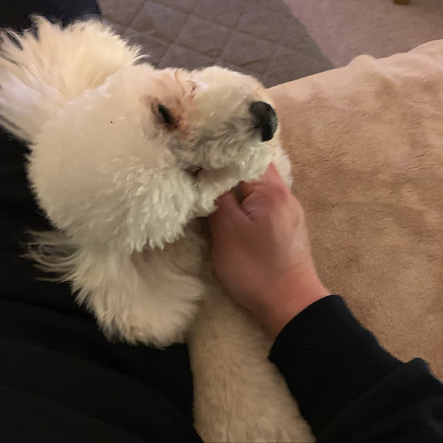 BUNさんの実例写真