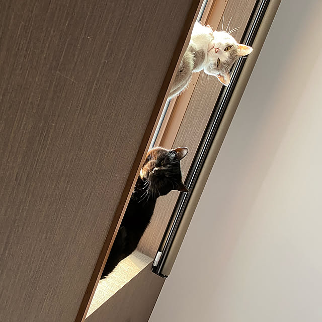 taakoさんの実例写真