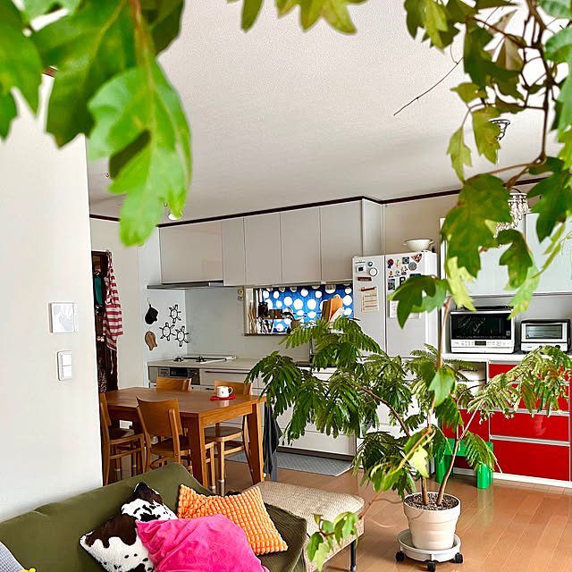 65-24oxoさんの実例写真