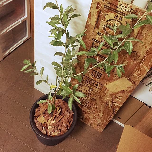 yakko1009さんの実例写真