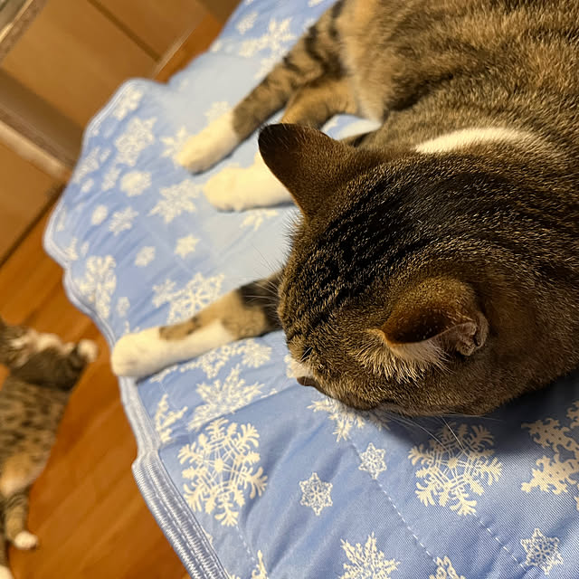 marinkarinさんの実例写真