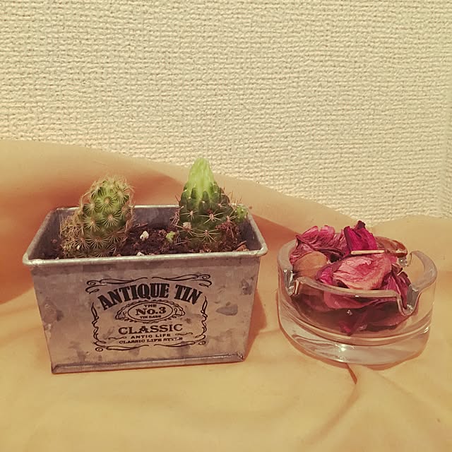 miwaさんの実例写真