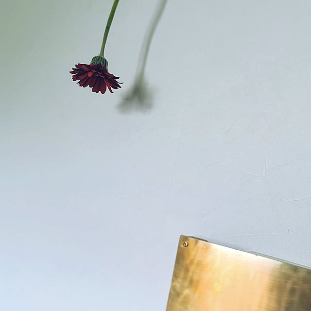 oa.mさんの実例写真