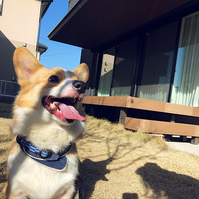 7chuna2さんの実例写真