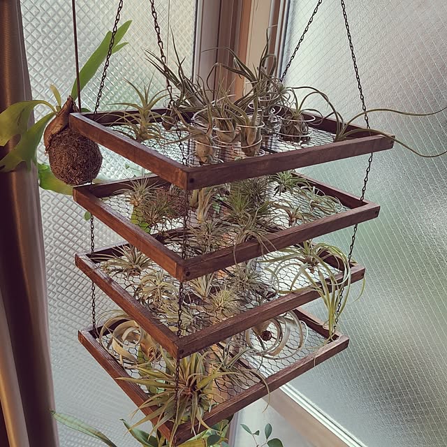 tkmrubikさんの実例写真