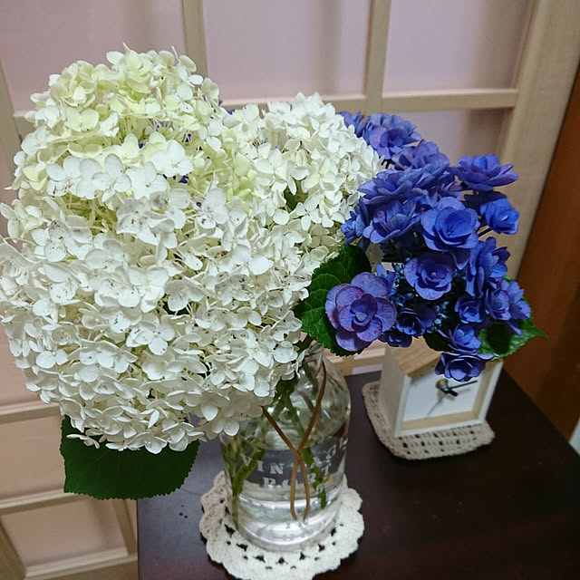 misaさんの実例写真