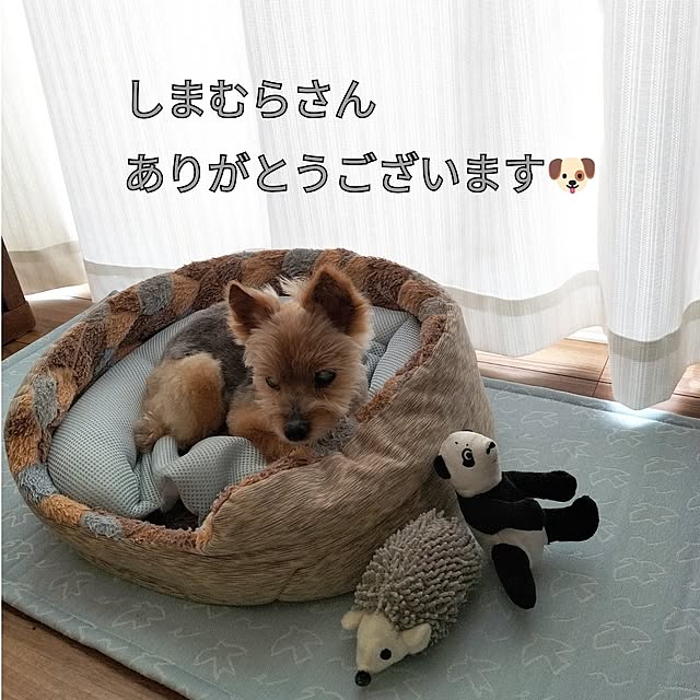 coco0.84.さんの部屋
