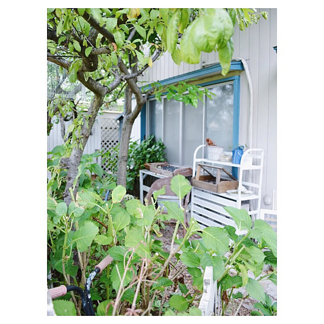 SONNTAGHAUSさんの実例写真