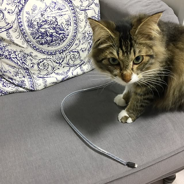 yuchiさんの実例写真