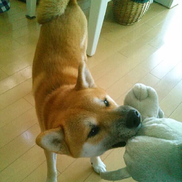 kotaさんの実例写真