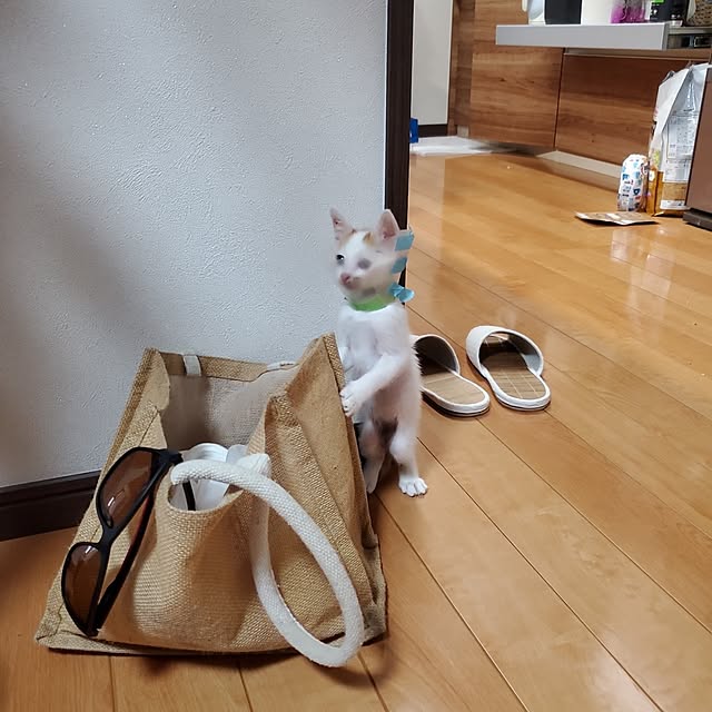kanaさんの部屋