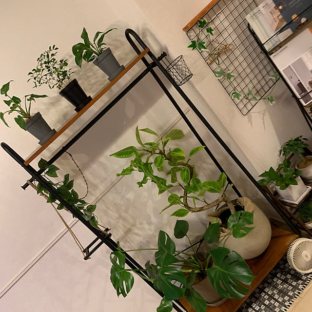 piman_tabetaiさんの部屋