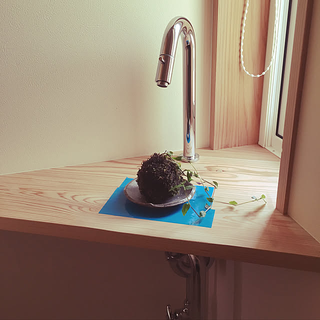 suzuさんの実例写真