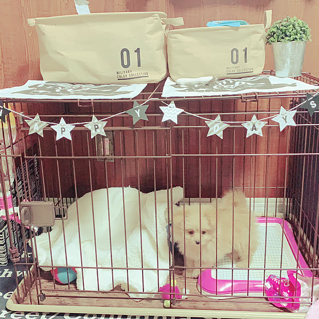 cocoさんの実例写真