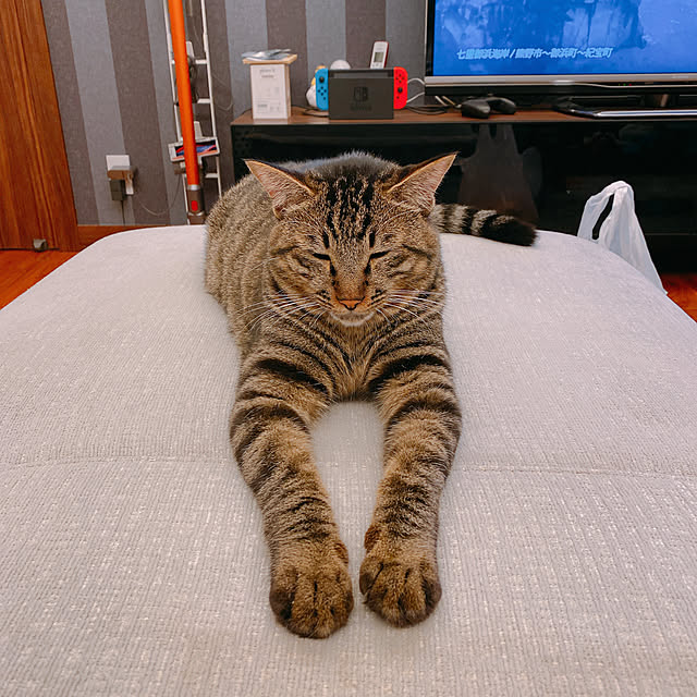 Rubyさんの実例写真