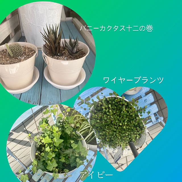 YuuKoさんの実例写真