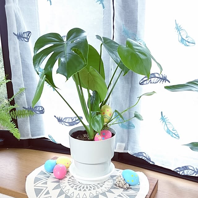 tamaさんの実例写真